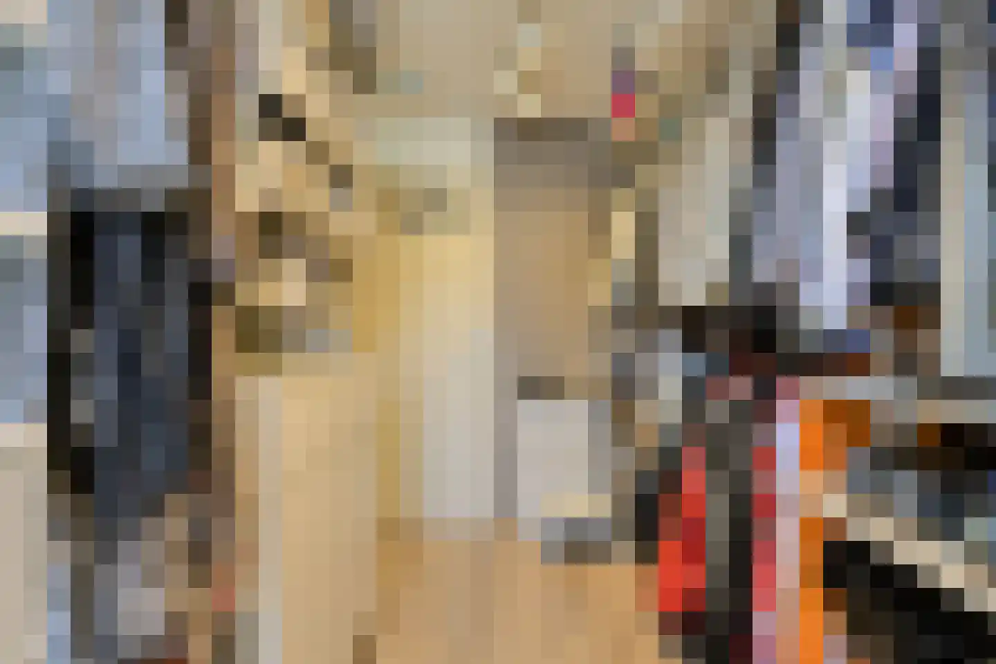 Klarenberg 5 Breda thumbnail 37
