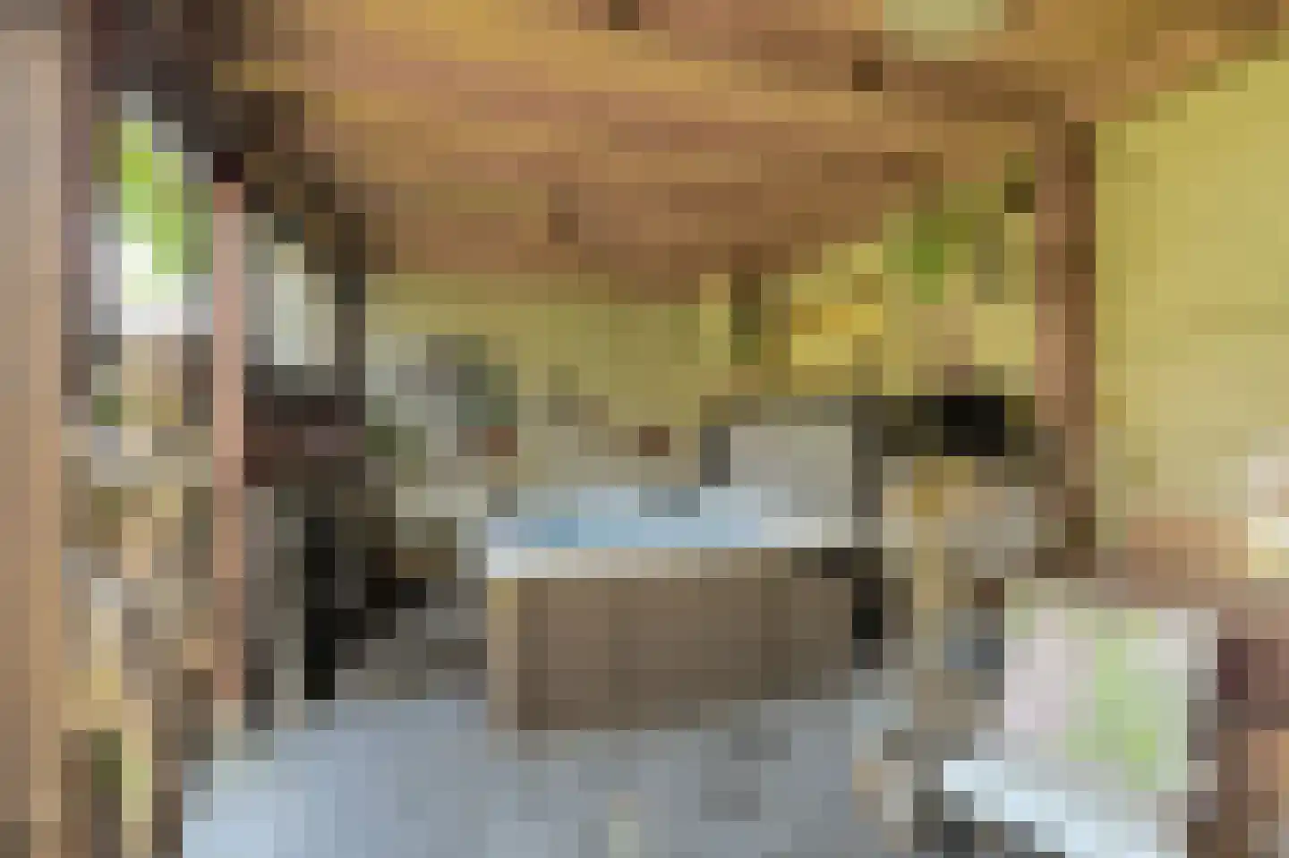 Klarenberg 5 Breda thumbnail 48
