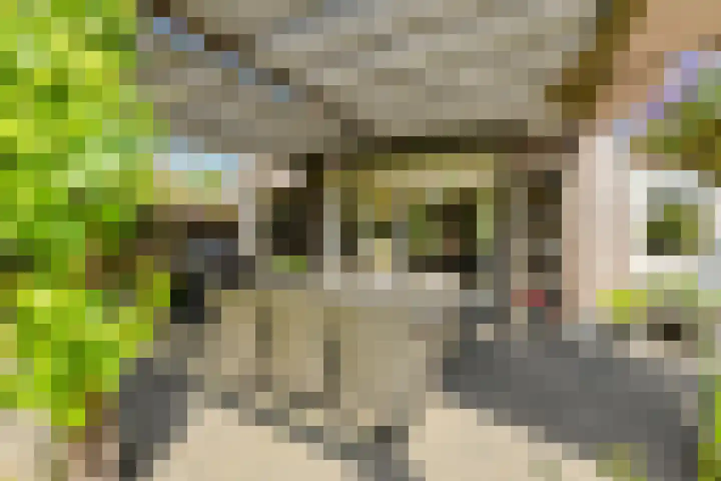 Klarenberg 5 Breda thumbnail 52