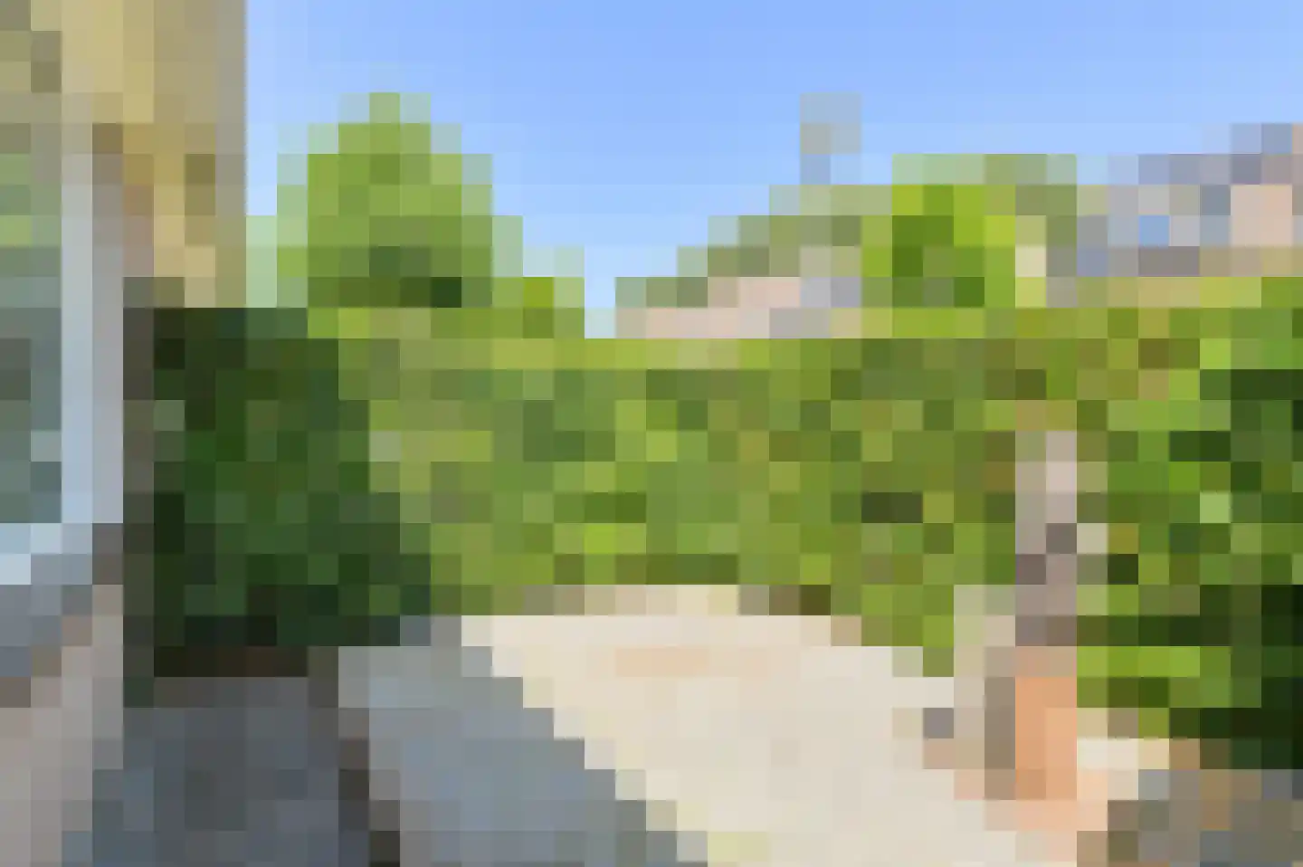 Klarenberg 5 Breda thumbnail 55