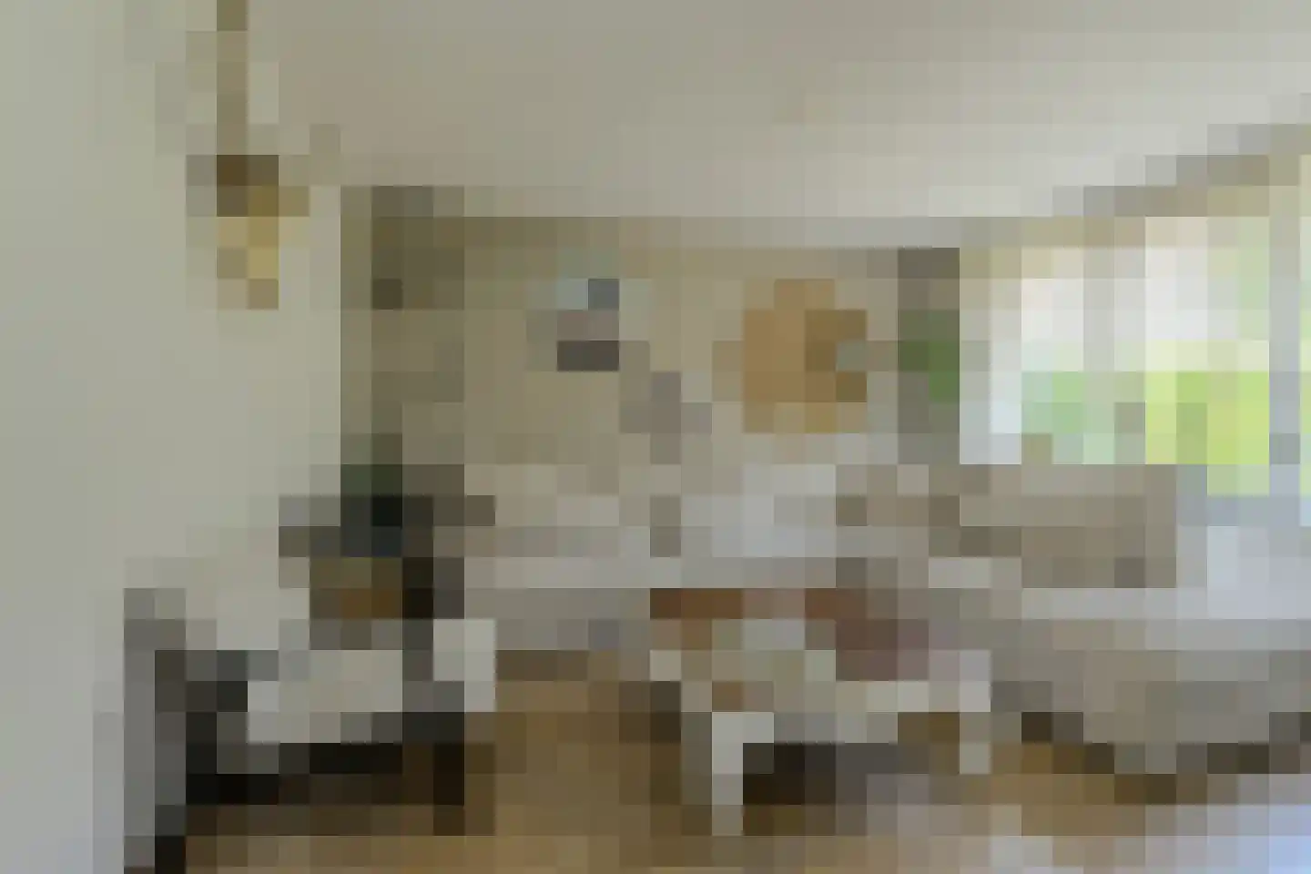 Klarenberg 5 Breda thumbnail 7