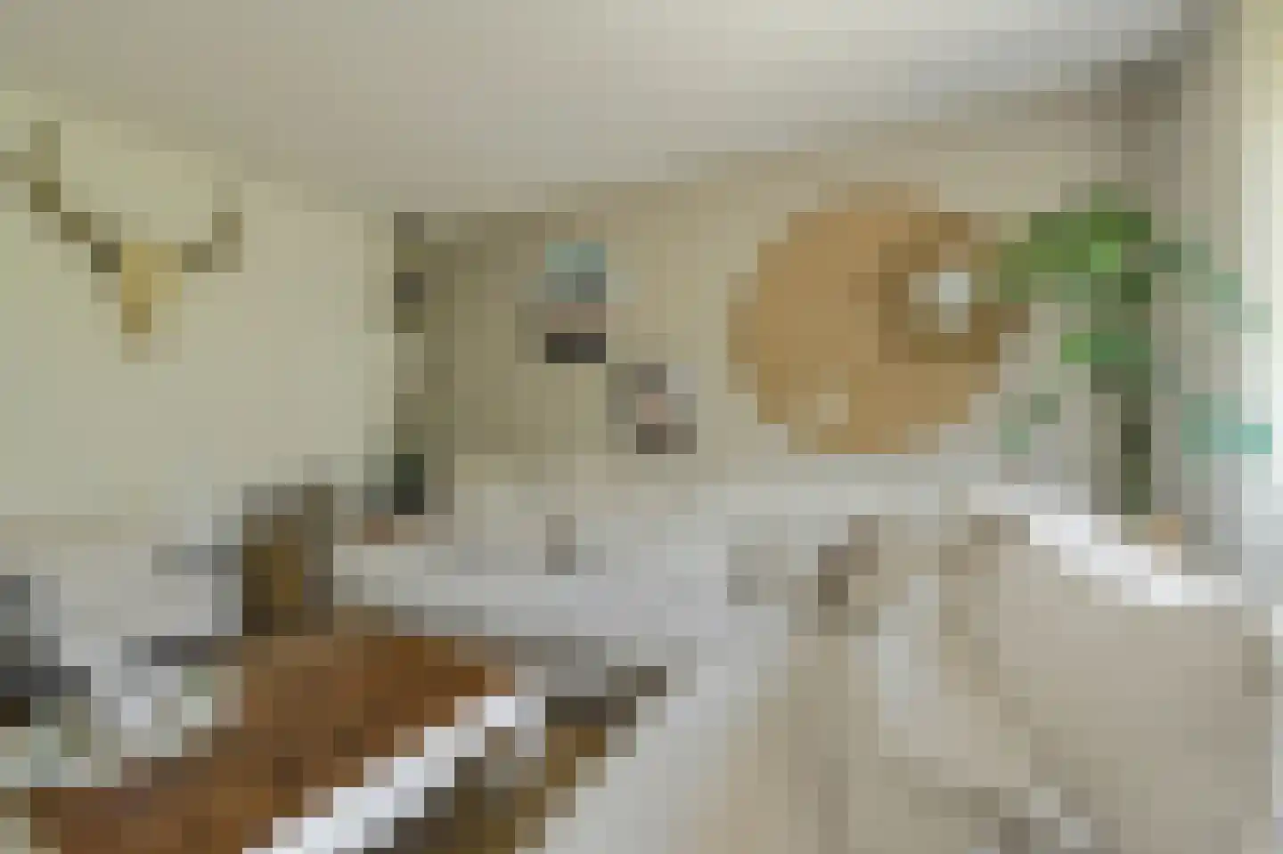 Klarenberg 5 Breda thumbnail 8