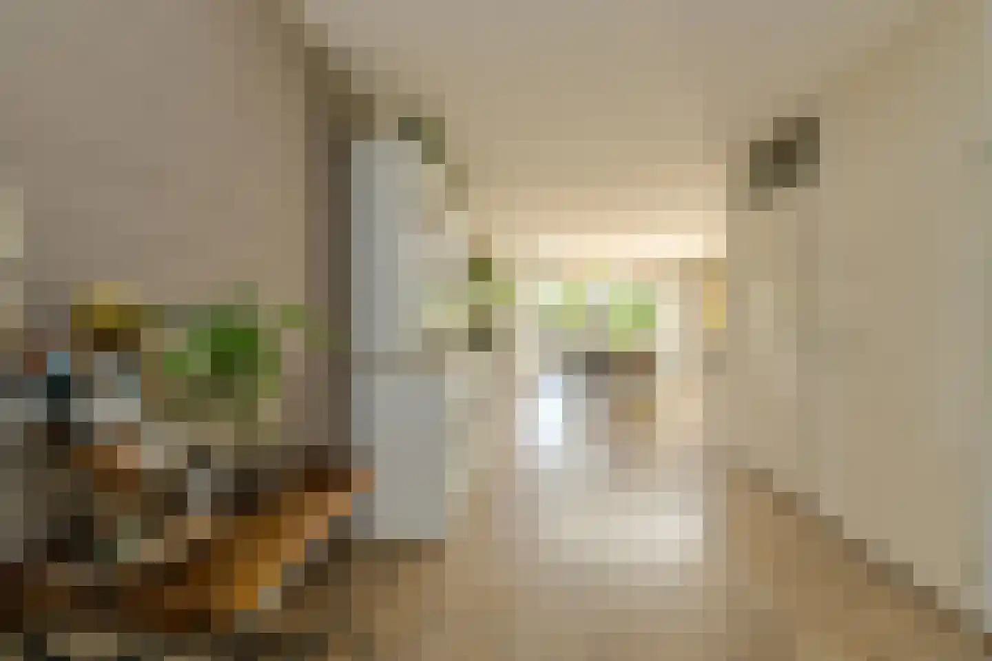 Klarenberg 5 Breda thumbnail 9