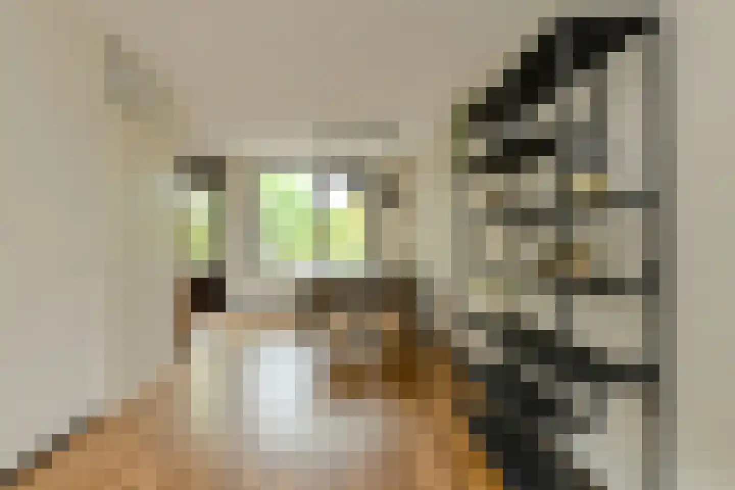 Klarenberg 64 Breda thumbnail 10