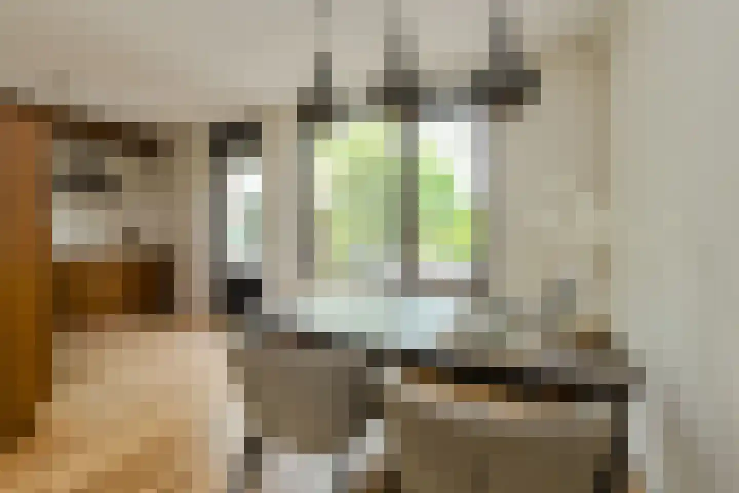 Klarenberg 64 Breda thumbnail 11