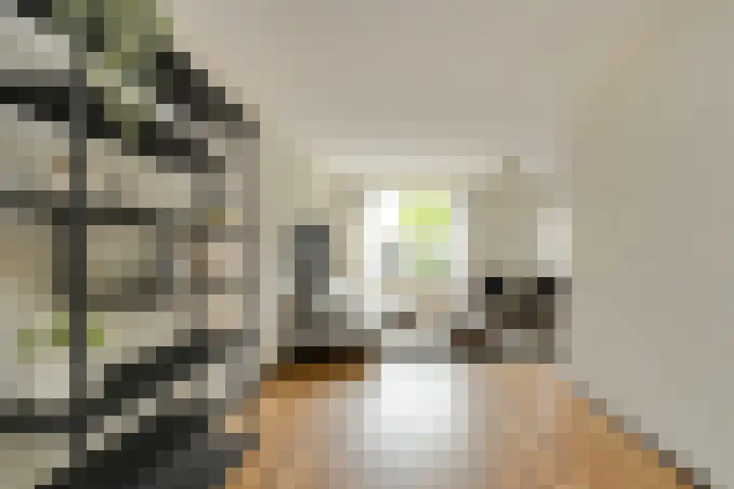 Klarenberg 64 Breda thumbnail 16