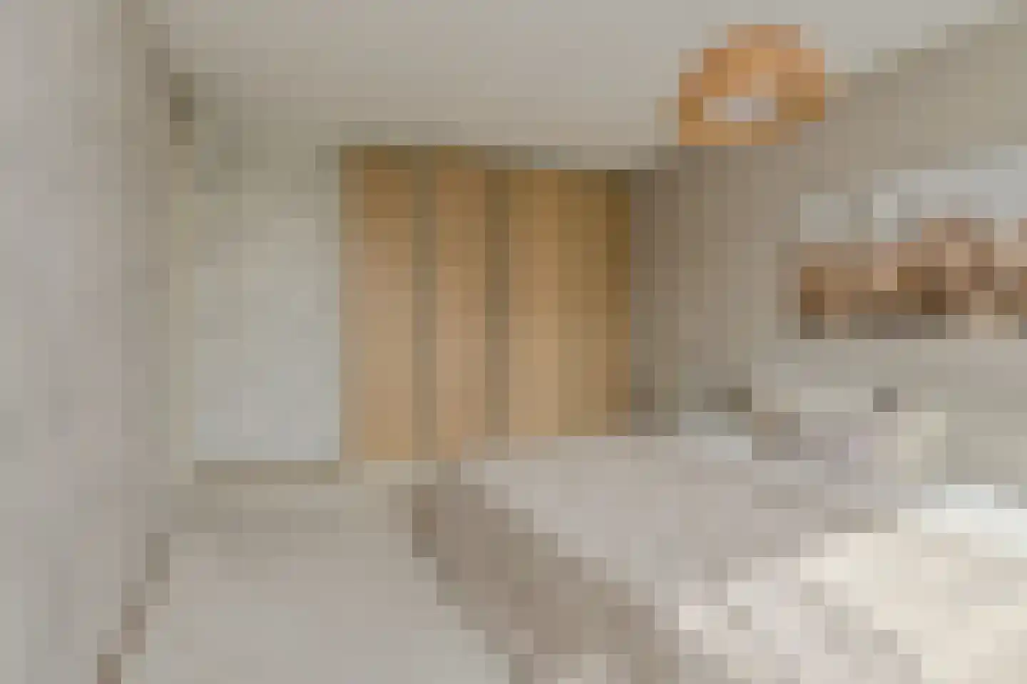 Klarenberg 64 Breda thumbnail 23