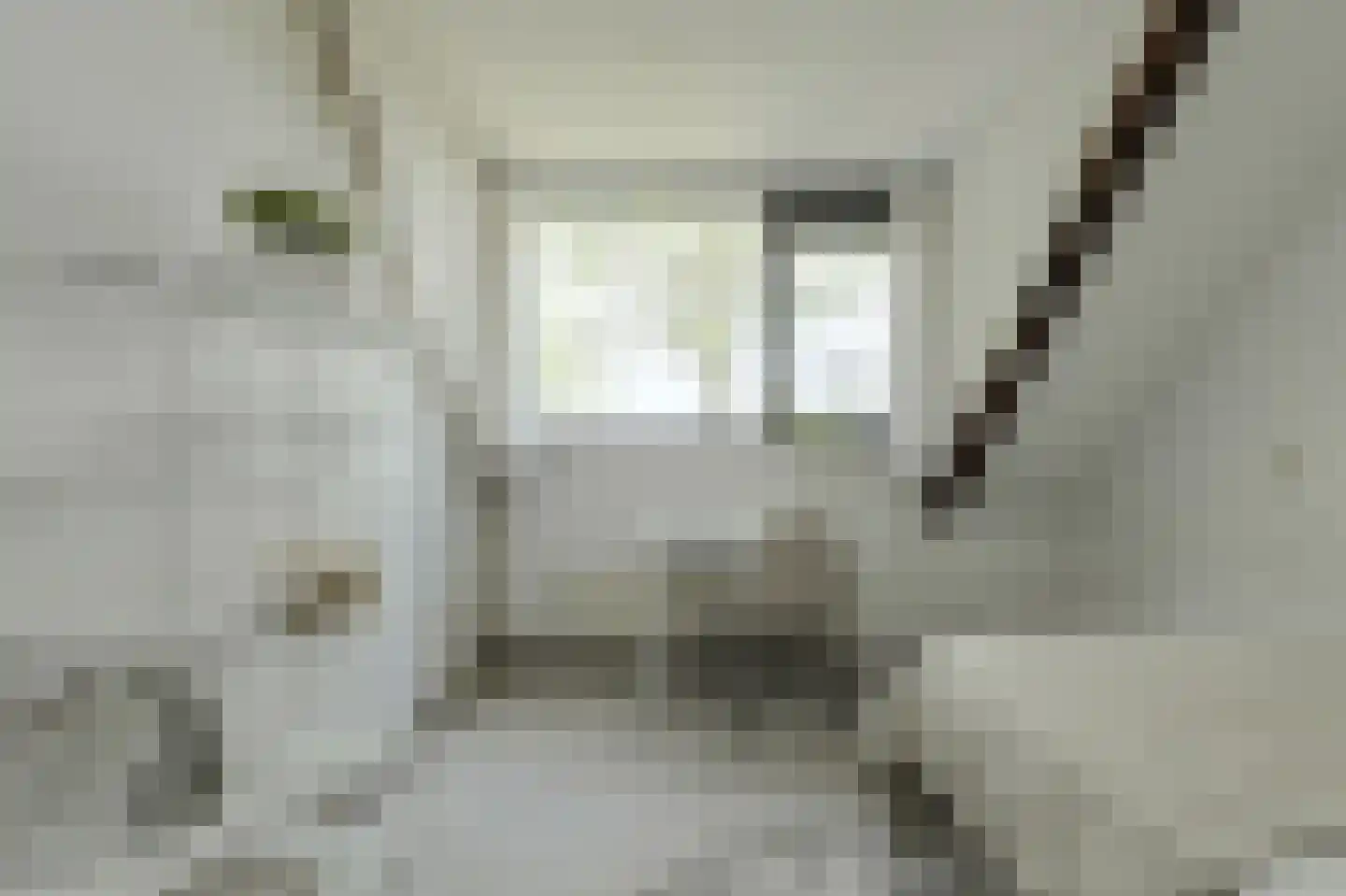 Klarenberg 64 Breda thumbnail 28