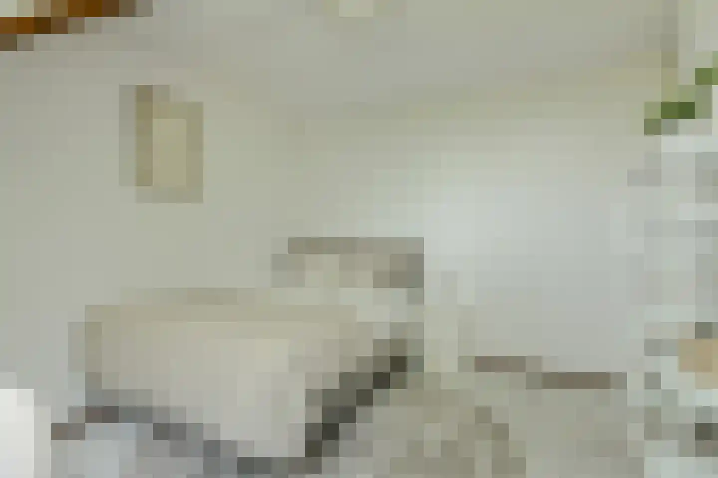 Klarenberg 64 Breda thumbnail 29