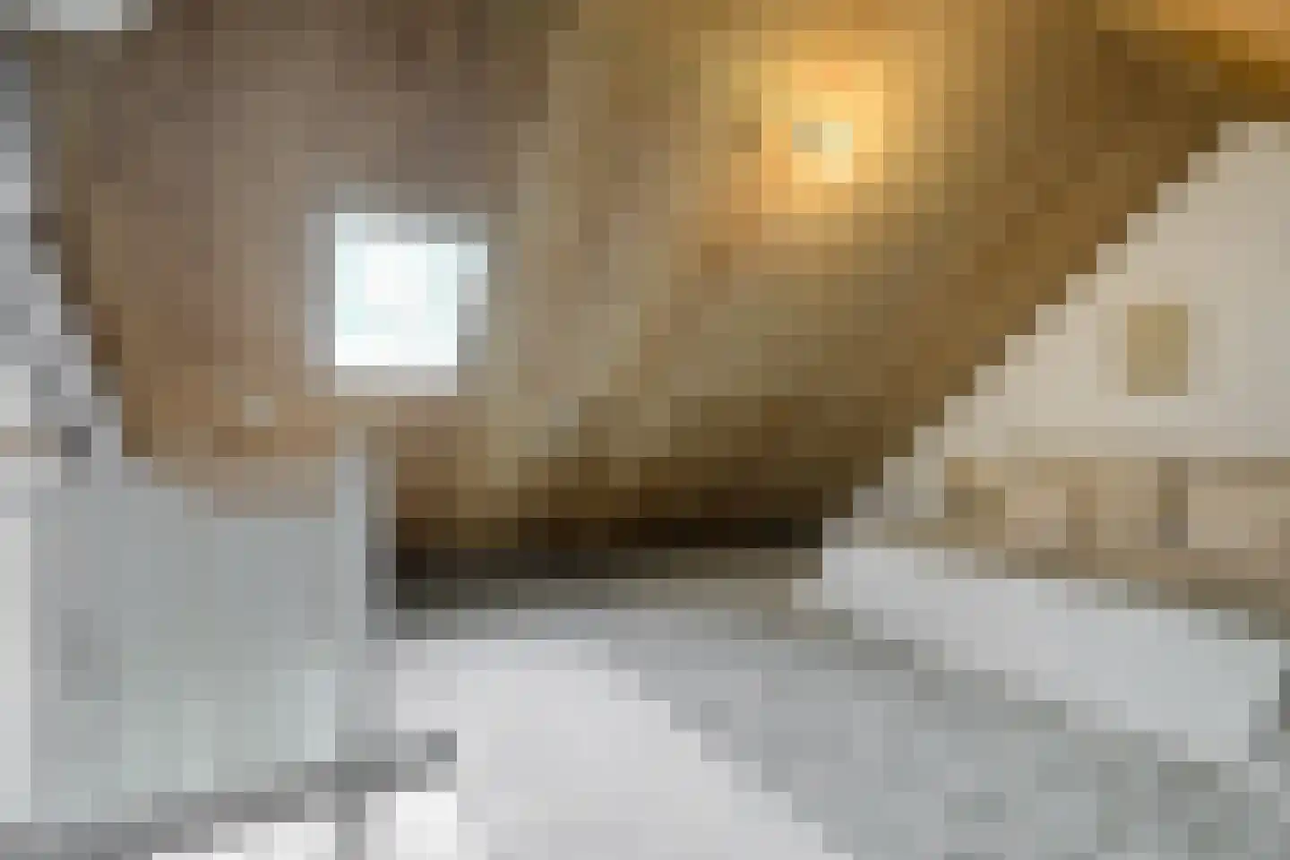 Klarenberg 64 Breda thumbnail 34