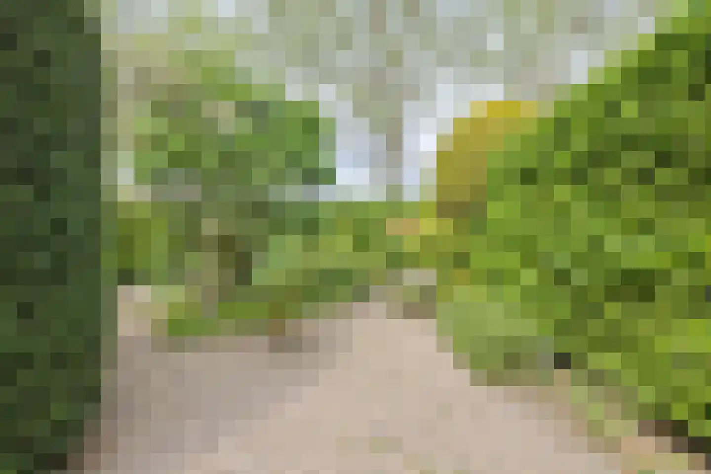 Klarenberg 64 Breda thumbnail 37