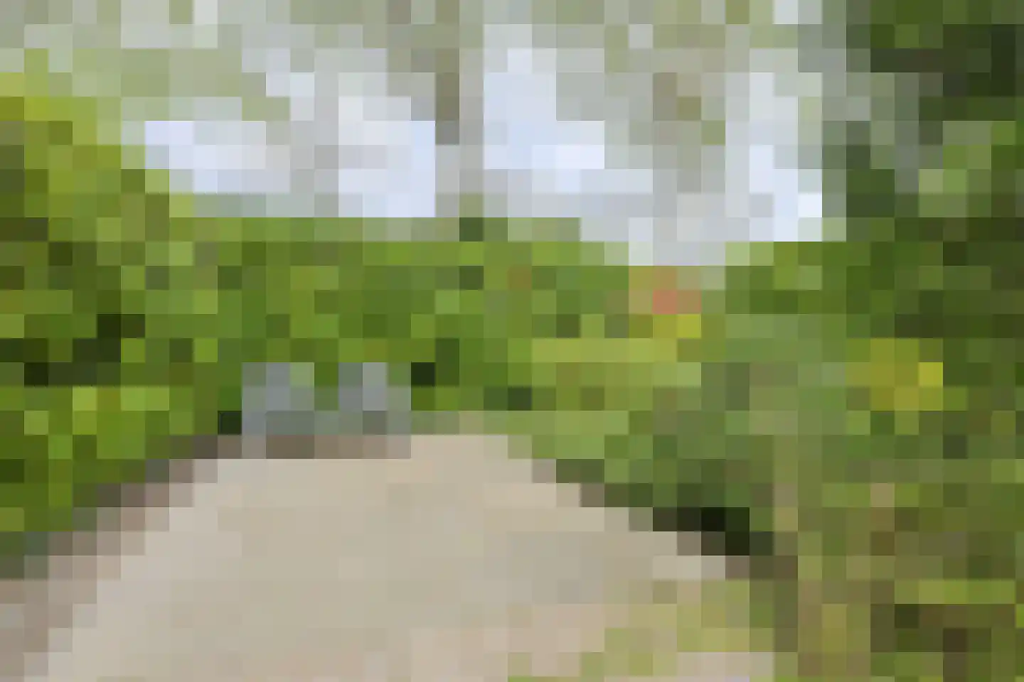 Klarenberg 64 Breda thumbnail 38
