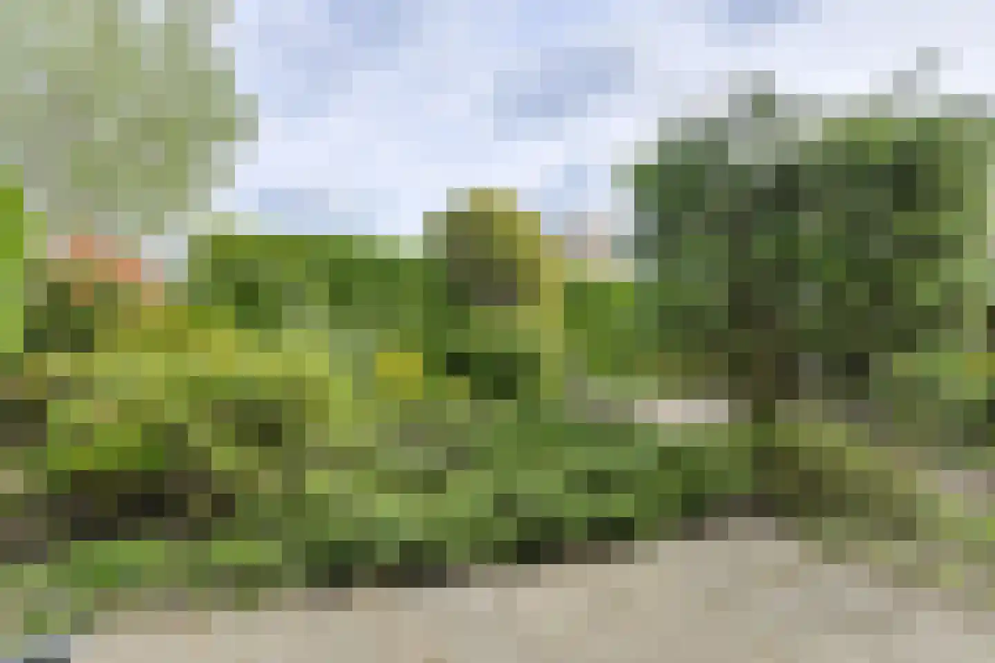 Klarenberg 64 Breda thumbnail 39