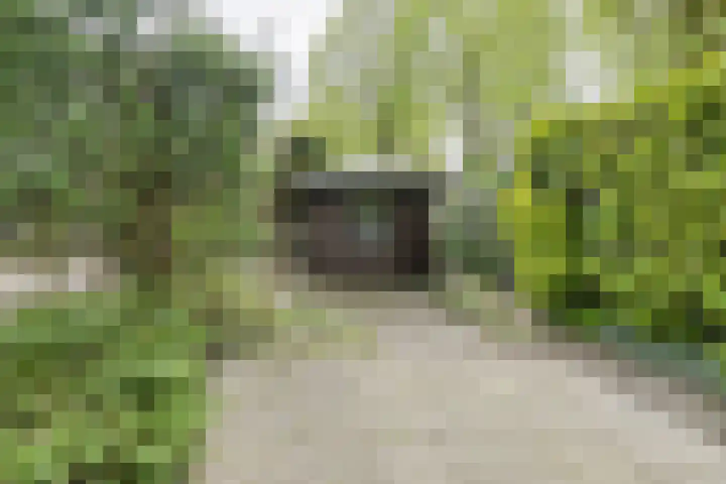 Klarenberg 64 Breda thumbnail 40