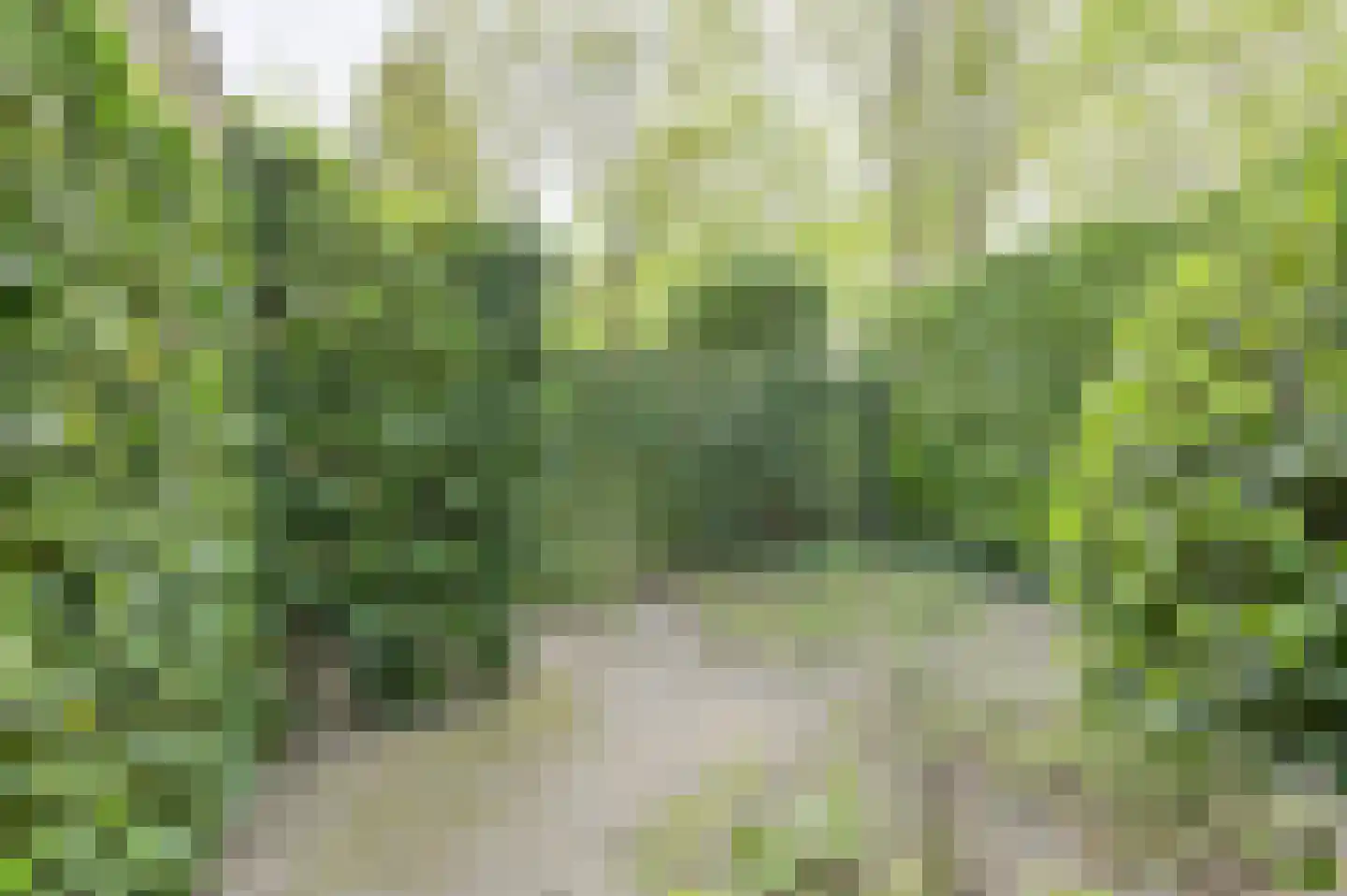 Klarenberg 64 Breda thumbnail 42