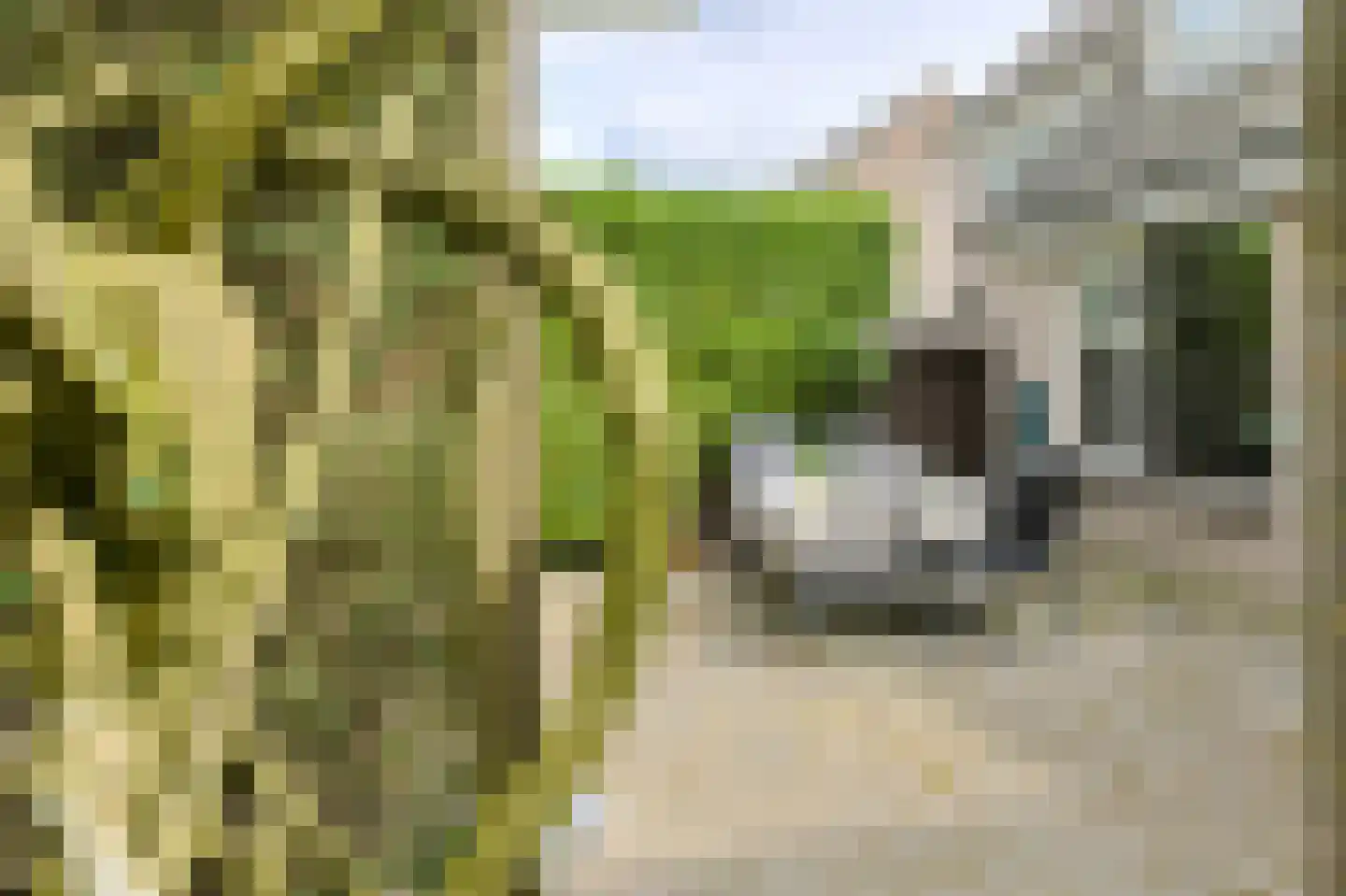 Klarenberg 64 Breda thumbnail 43