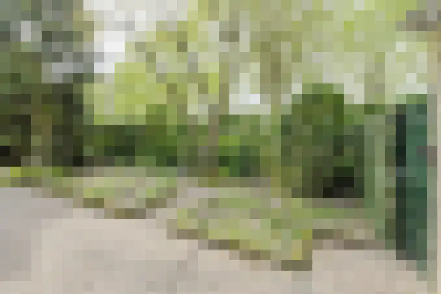 Klarenberg 64 Breda thumbnail 44