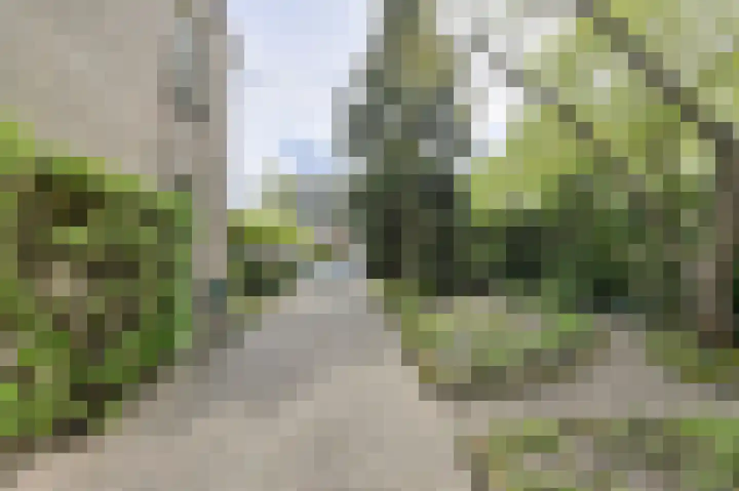 Klarenberg 64 Breda thumbnail 45