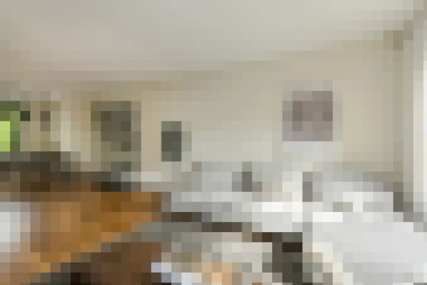 Klarenberg 64 Breda thumbnail 8