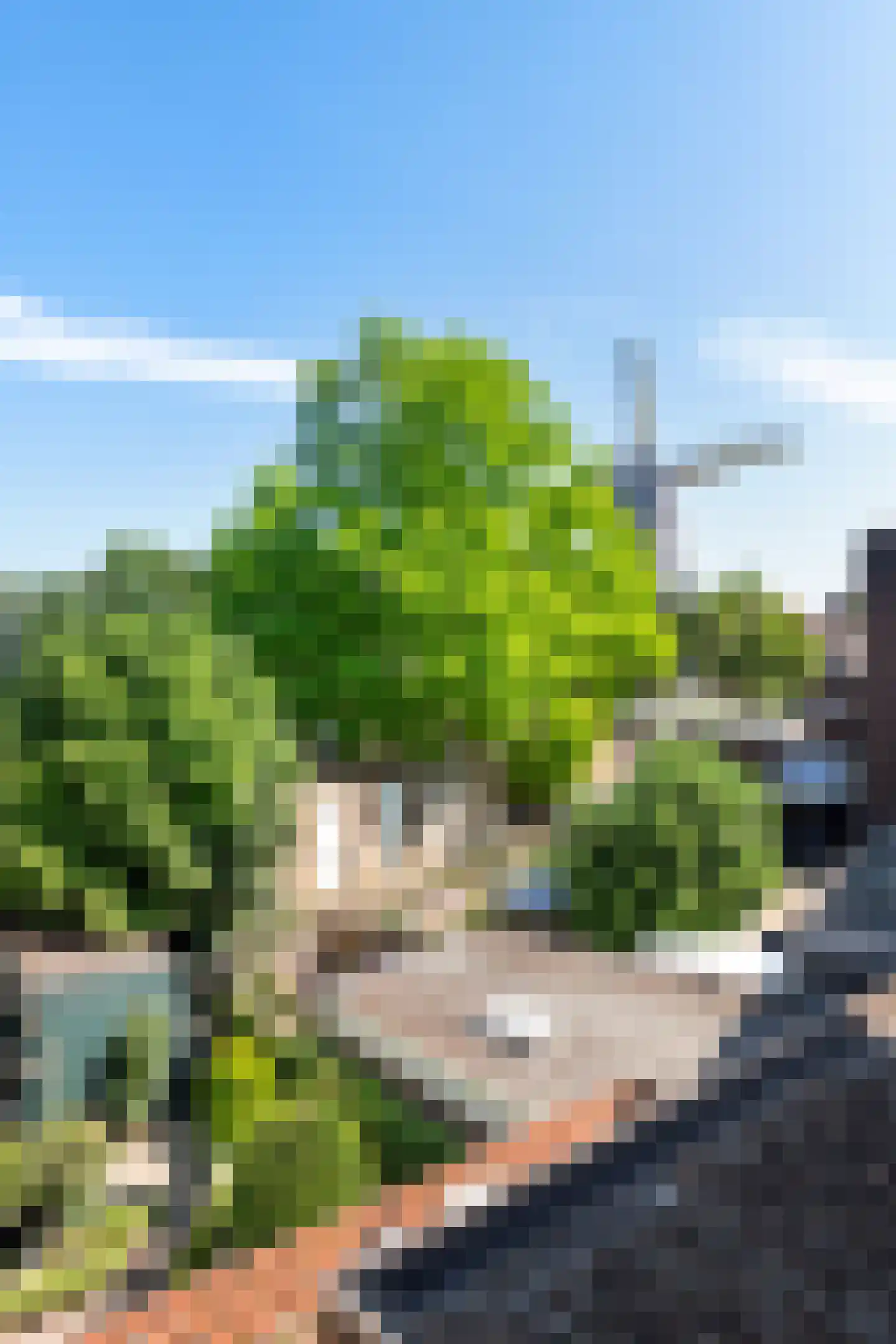 Klarendalseweg 61 Arnhem thumbnail 22
