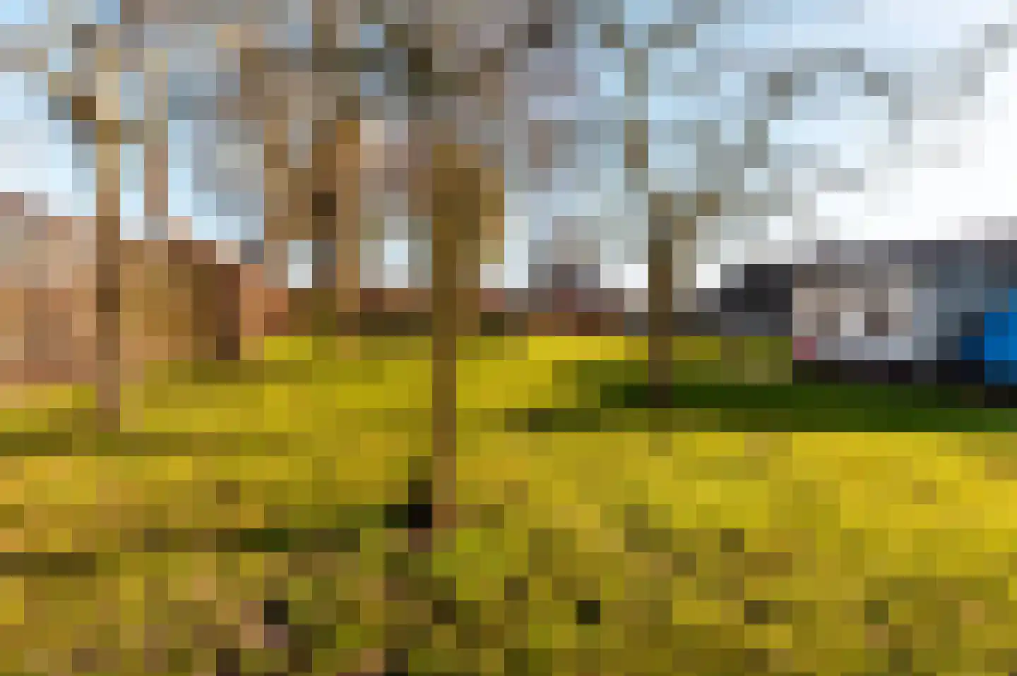 Klarenweg 5 Hulshorst thumbnail 39