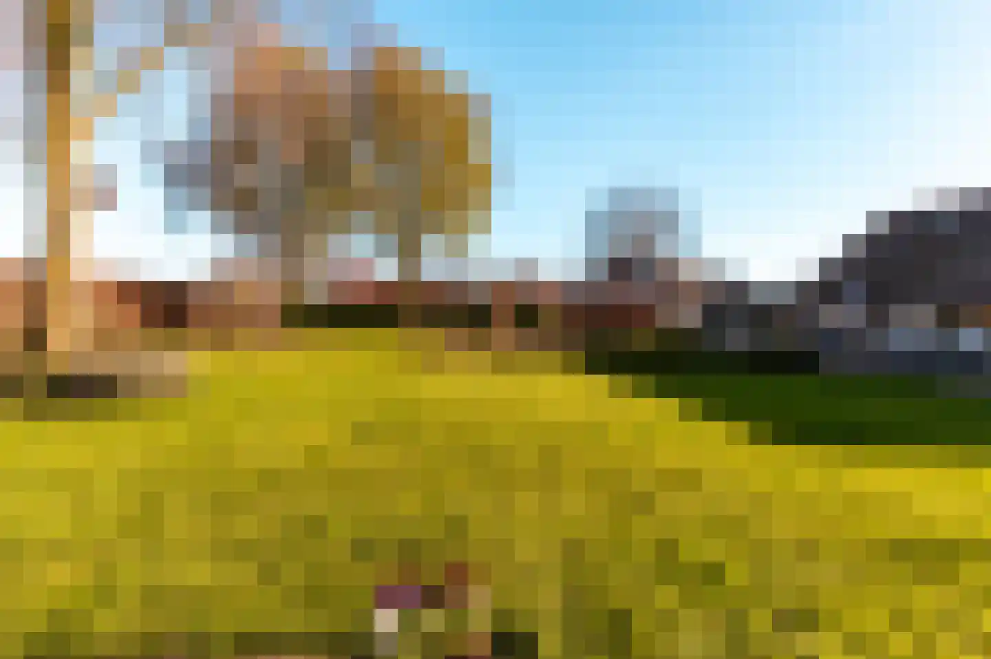 Klarenweg 5 Hulshorst thumbnail 41
