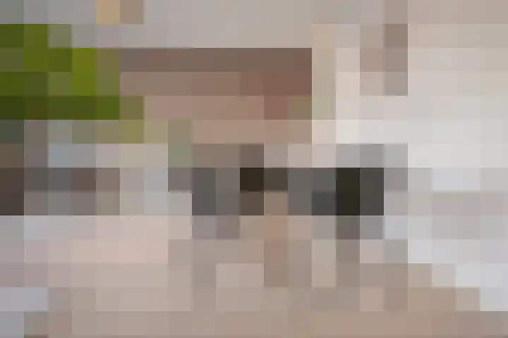 Klarestraat 2 11 Arnhem thumbnail 17
