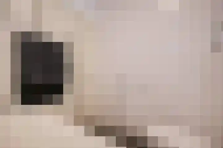 Klarestraat 2 11 Arnhem thumbnail 32