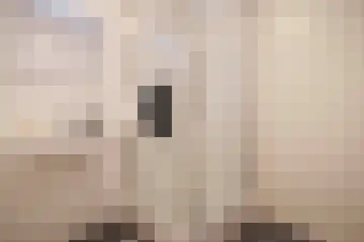Klarestraat 2 11 Arnhem thumbnail 33