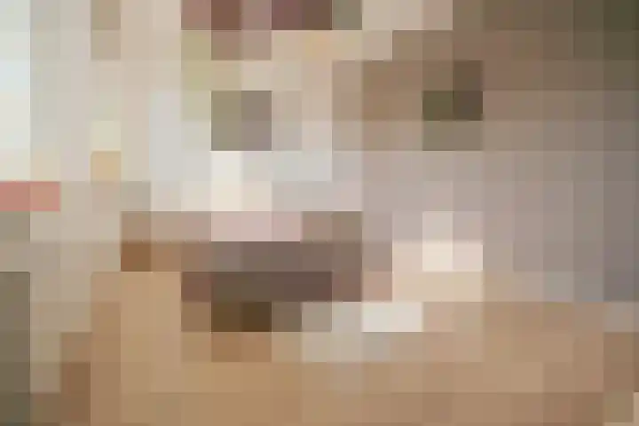 Klarestraat 2 11 Arnhem thumbnail 5