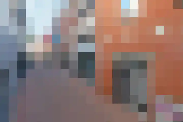 Klarestraat 2 3 Arnhem thumbnail 5