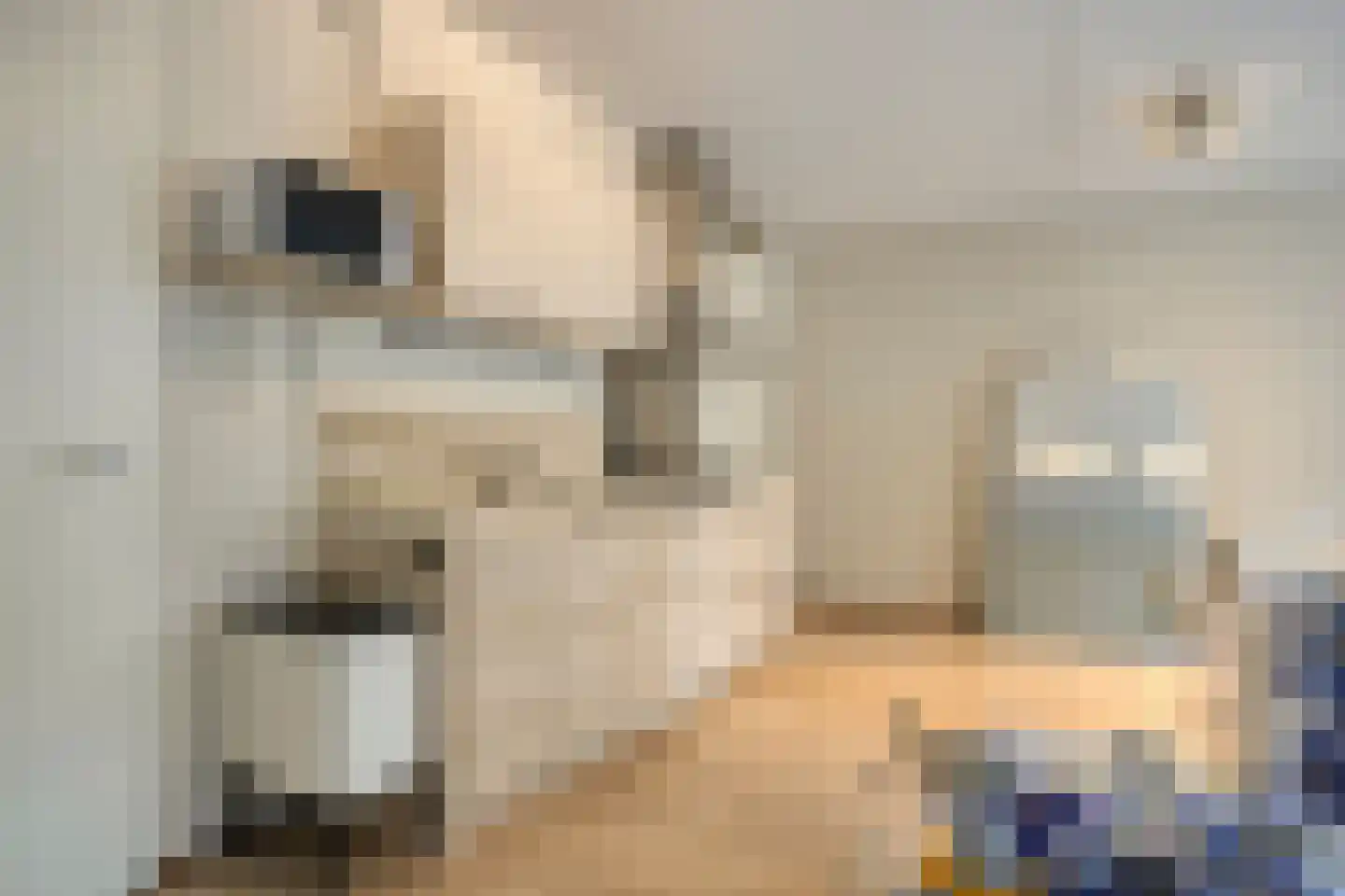 Klarestraat 2 6 Arnhem thumbnail 20