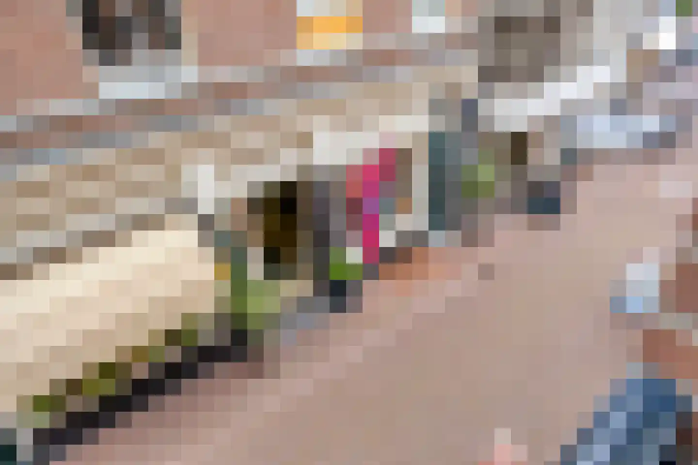 Klarestraat 2 6 Arnhem thumbnail 27