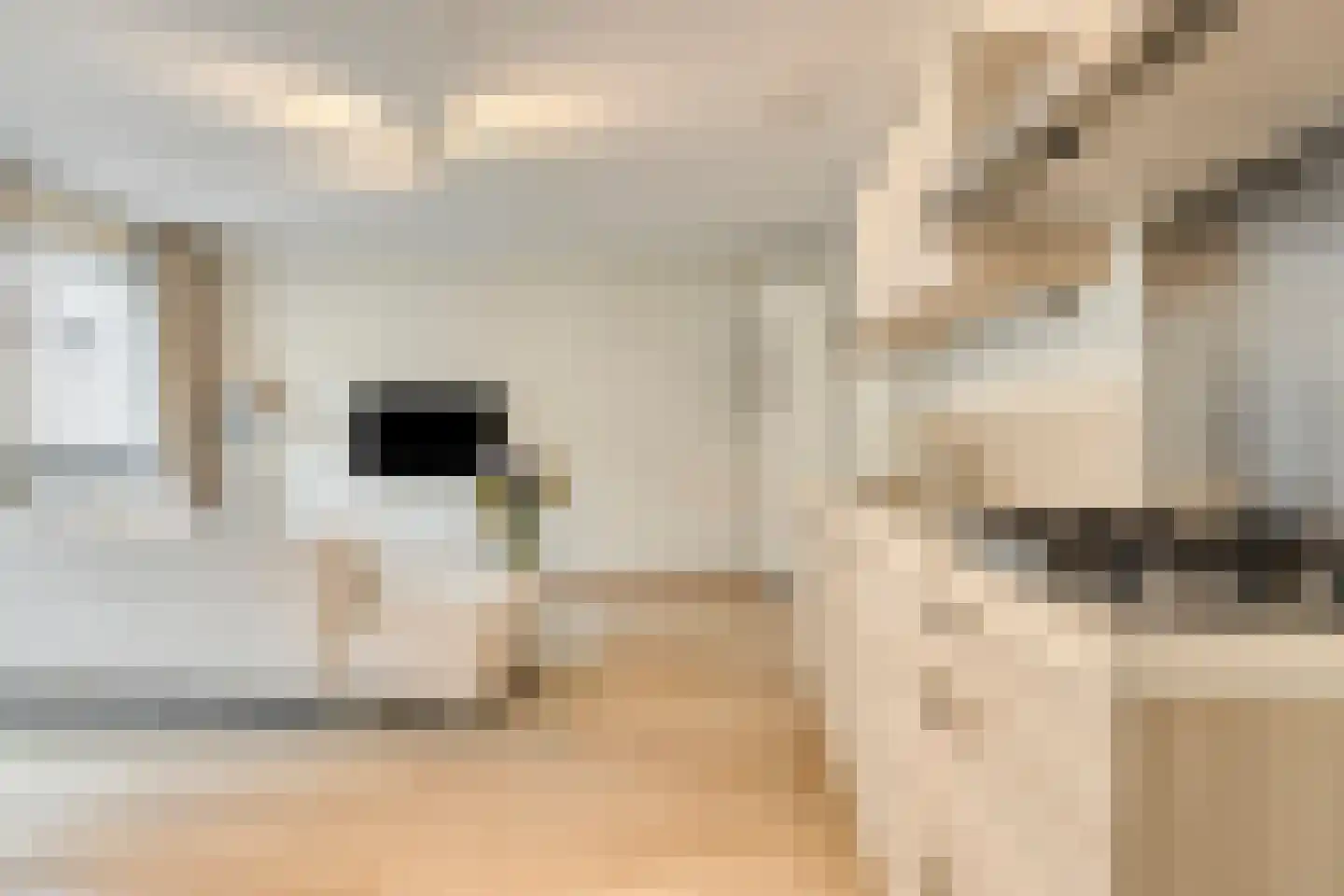 Klarestraat 2 6 Arnhem thumbnail 4