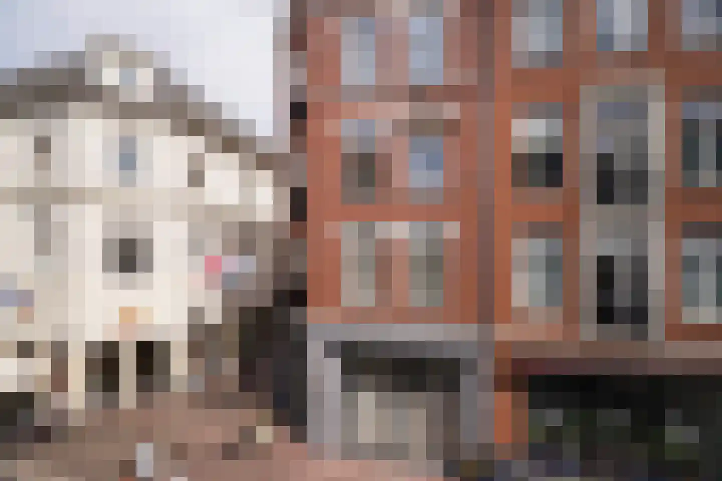 Klarestraat 2 8 Arnhem thumbnail 6