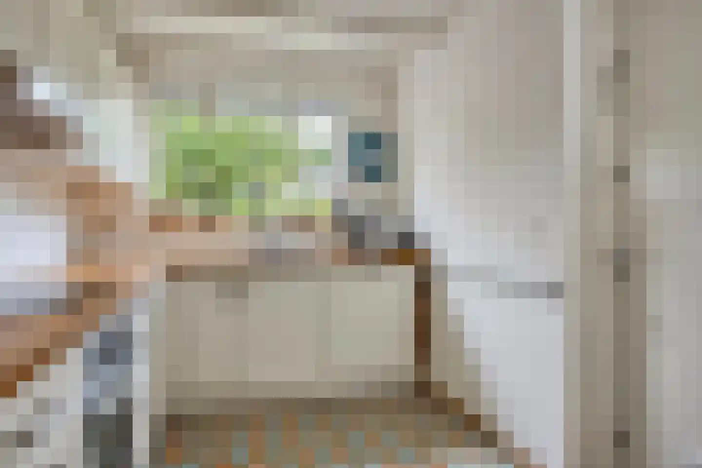 Klareweid 18 Koedijk thumbnail 17