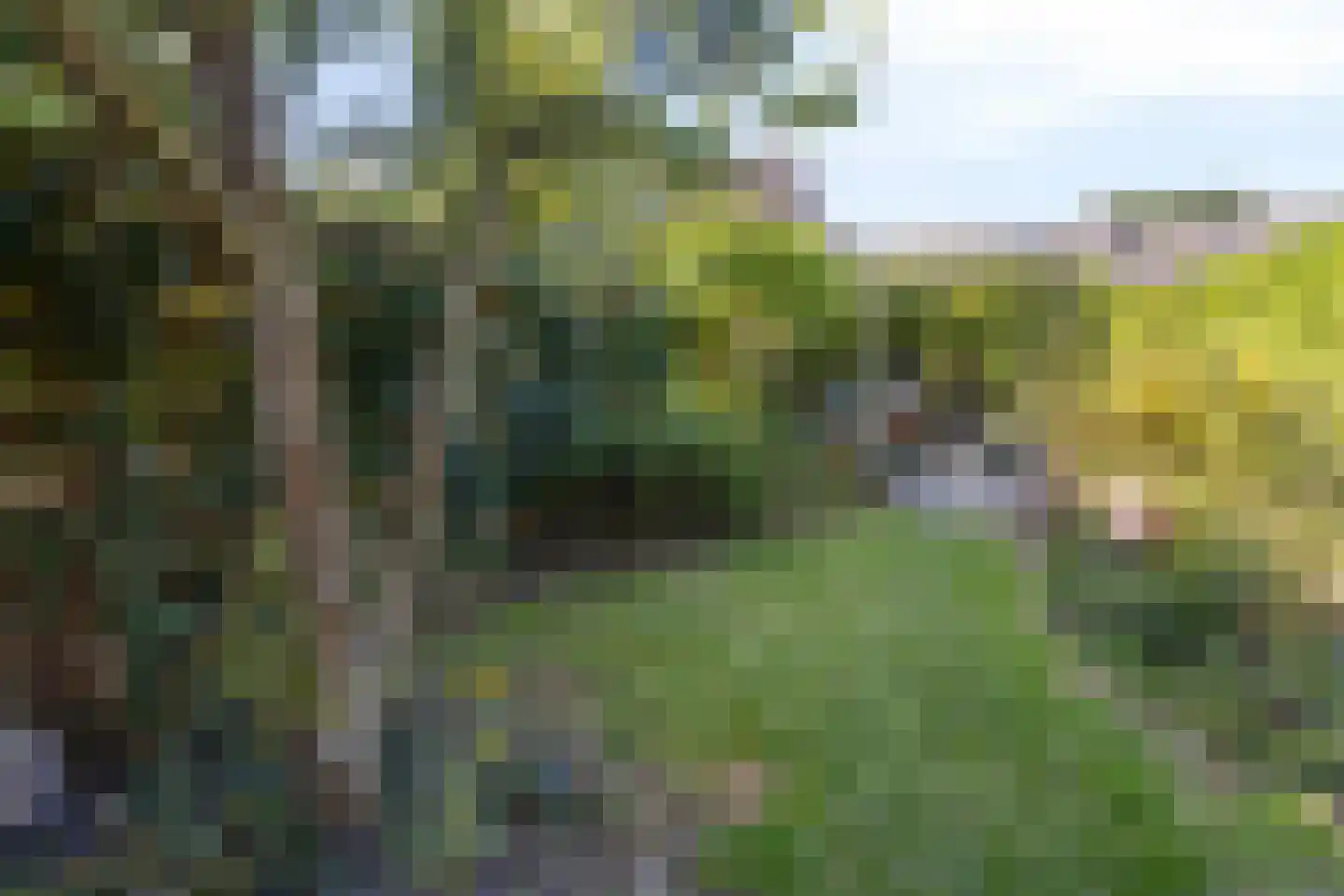 Klareweid 18 Koedijk thumbnail 18