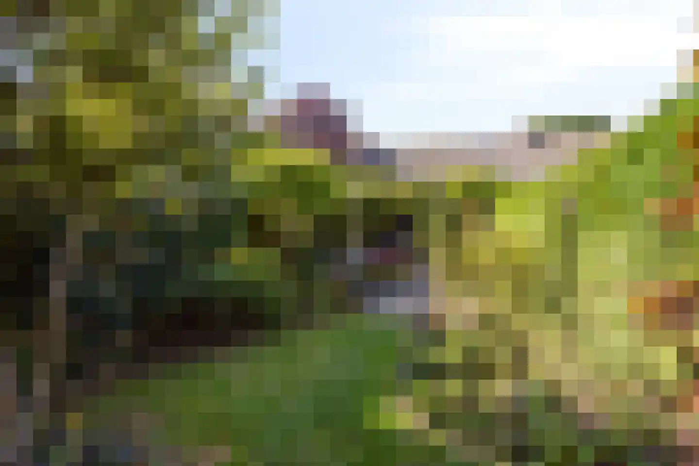 Klareweid 18 Koedijk thumbnail 19