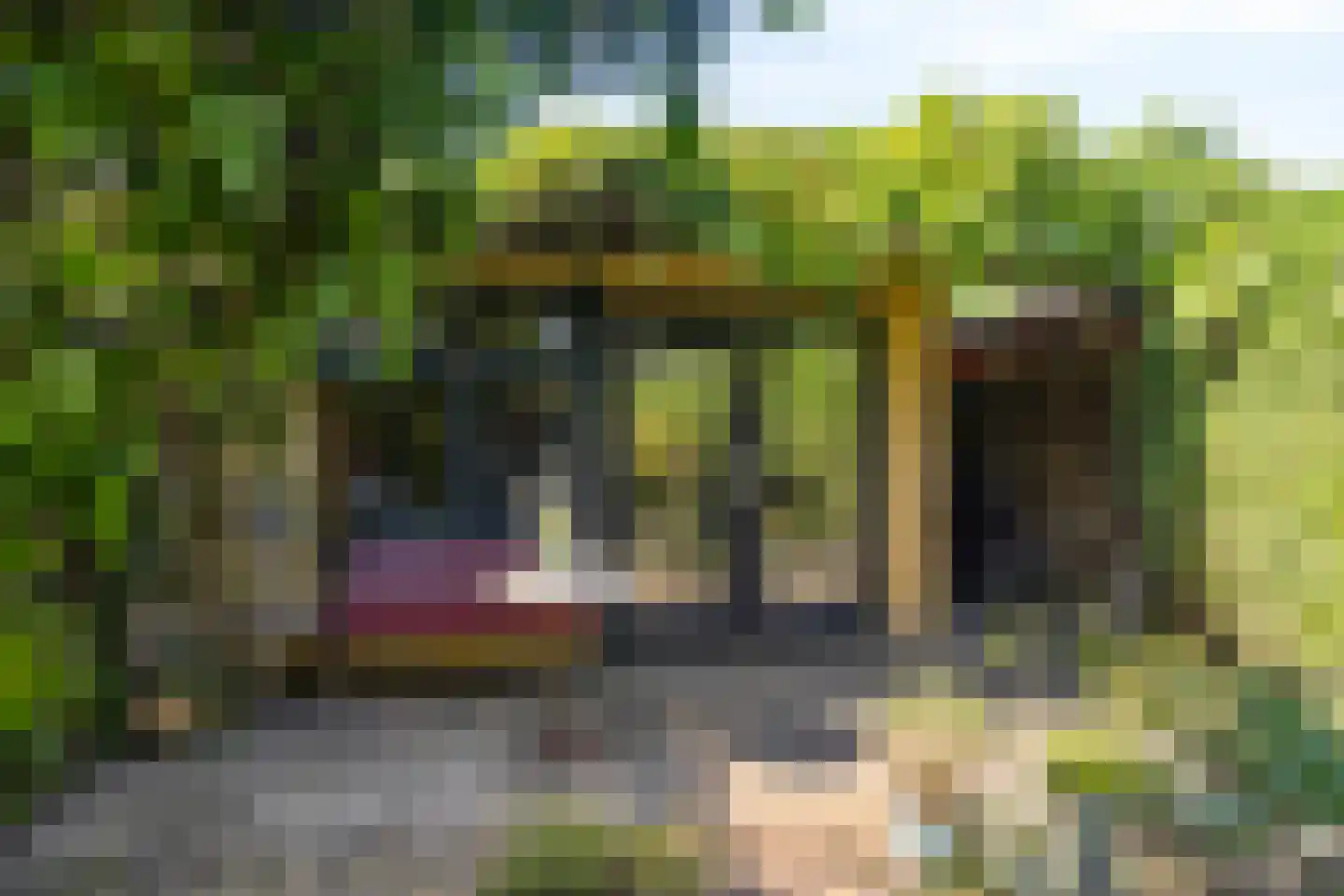Klareweid 18 Koedijk thumbnail 20