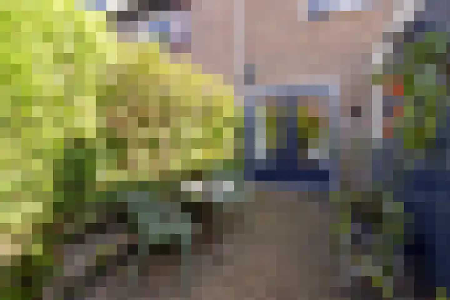 Klareweid 18 Koedijk thumbnail 24