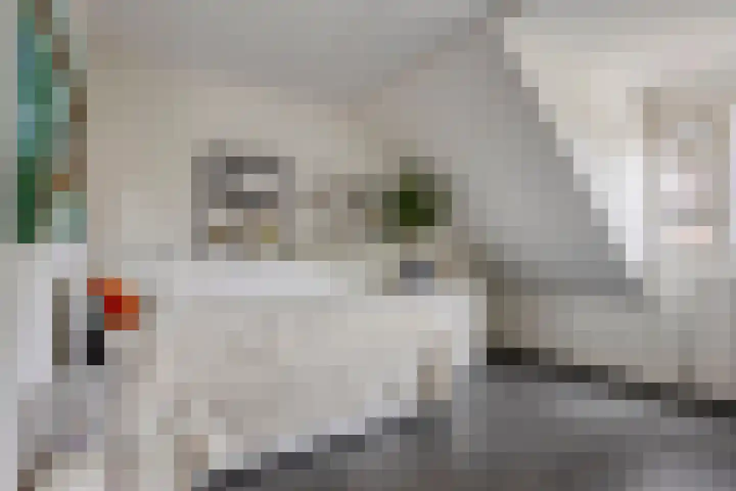 Klareweid 18 Koedijk thumbnail 30