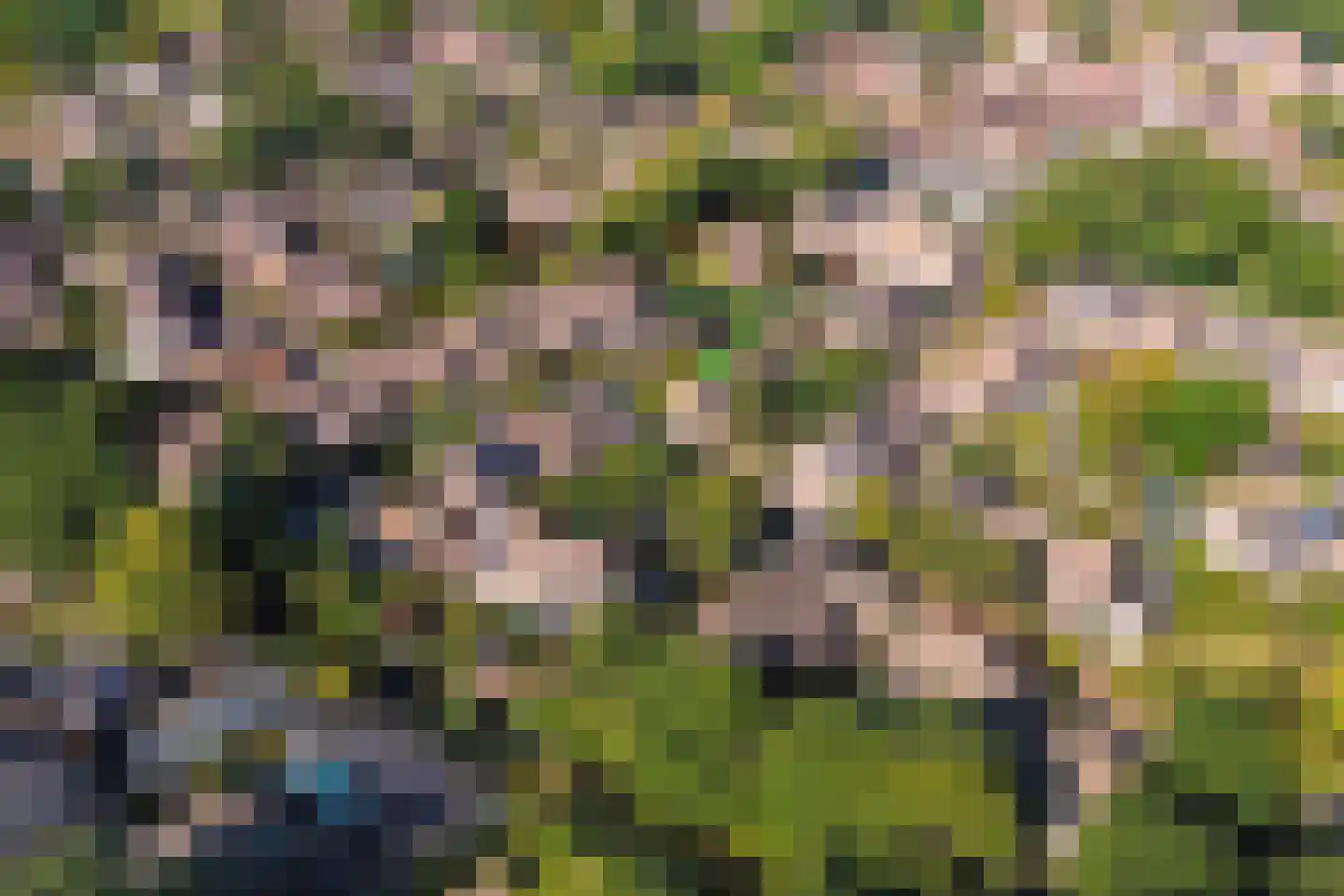 Klareweid 18 Koedijk thumbnail 4