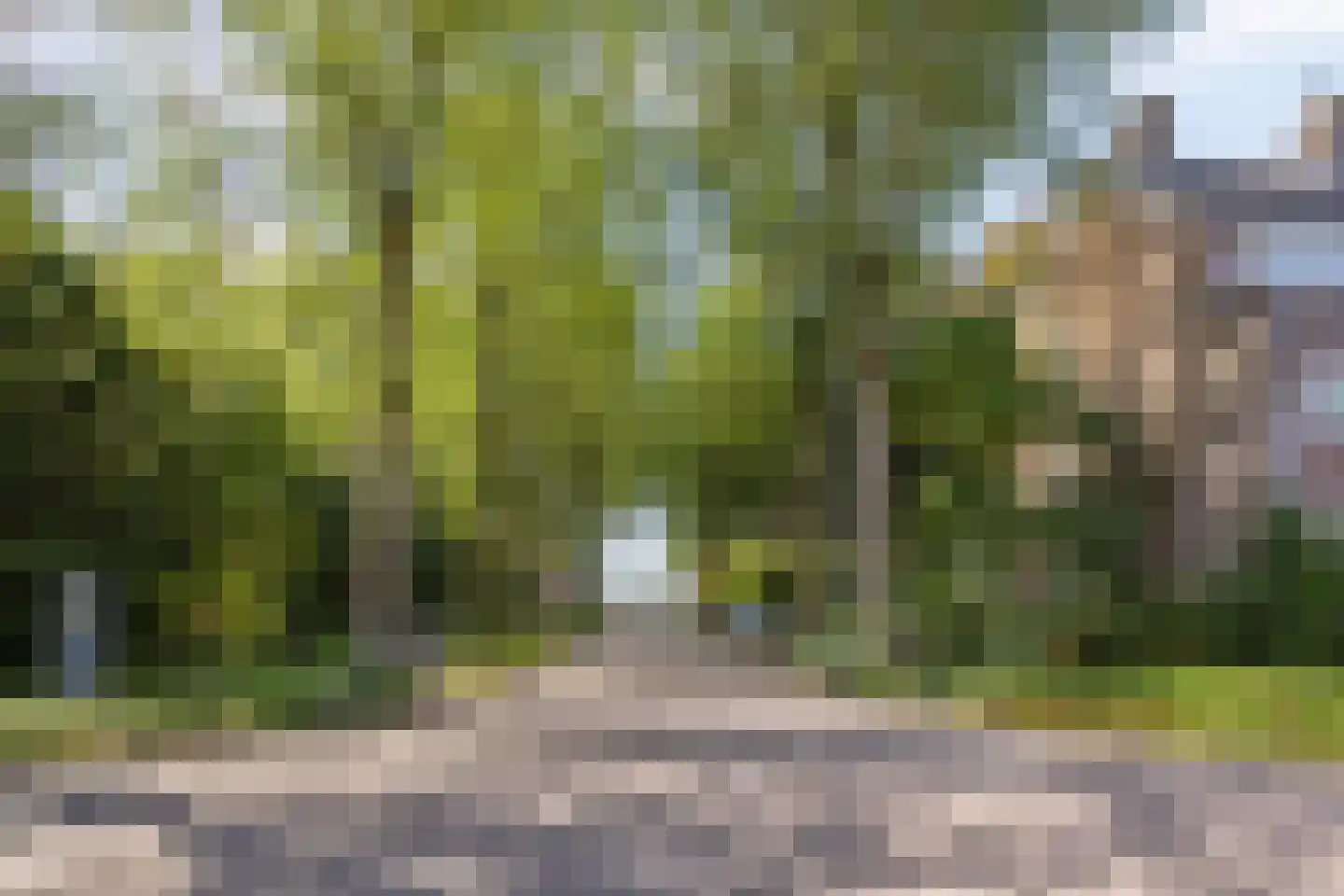 Klareweid 18 Koedijk thumbnail 44