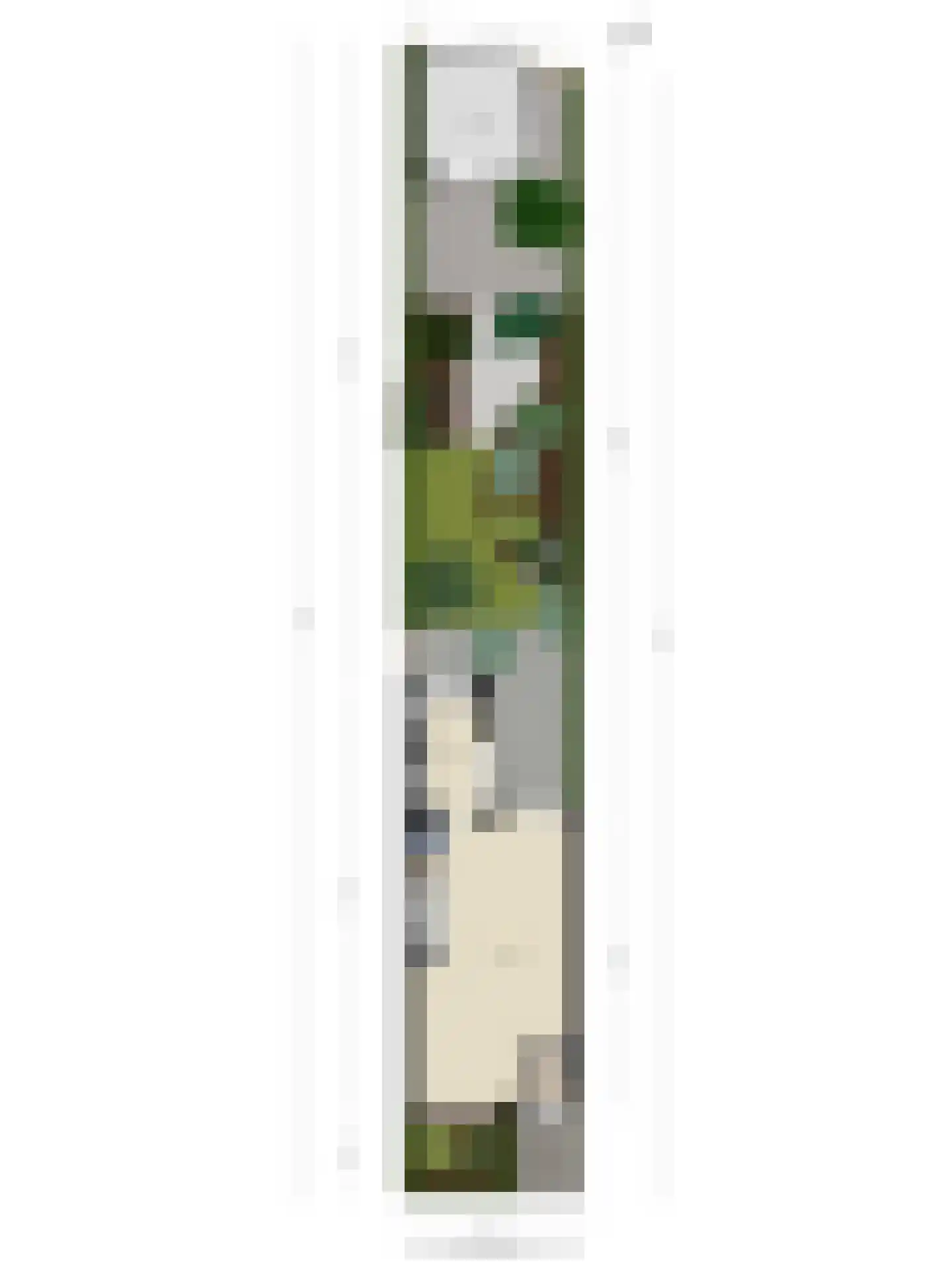 Klareweid 18 Koedijk thumbnail 49