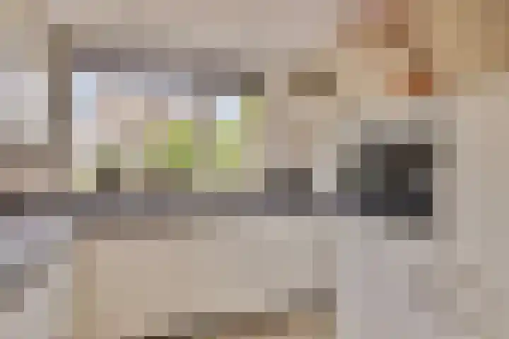 Klarinet 10 De Lier thumbnail 10