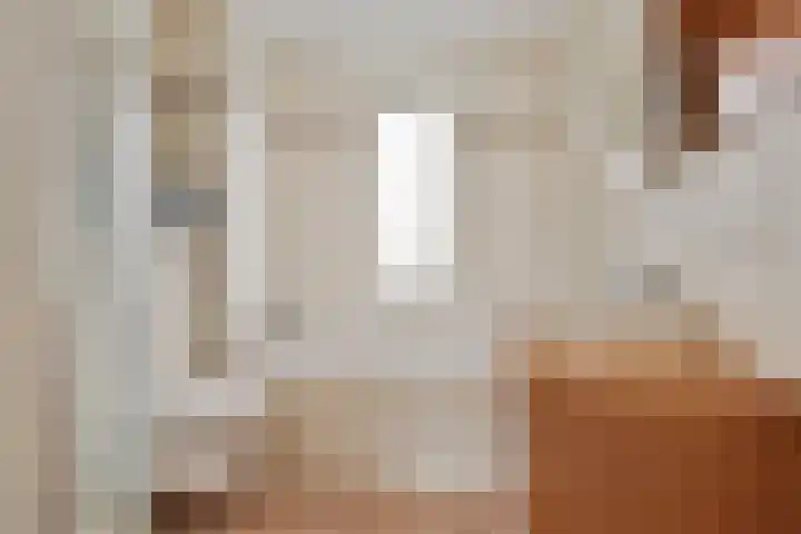 Klarinet 10 De Lier thumbnail 20