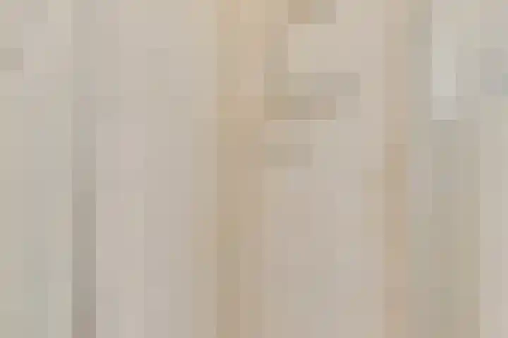 Klarinet 10 De Lier thumbnail 24