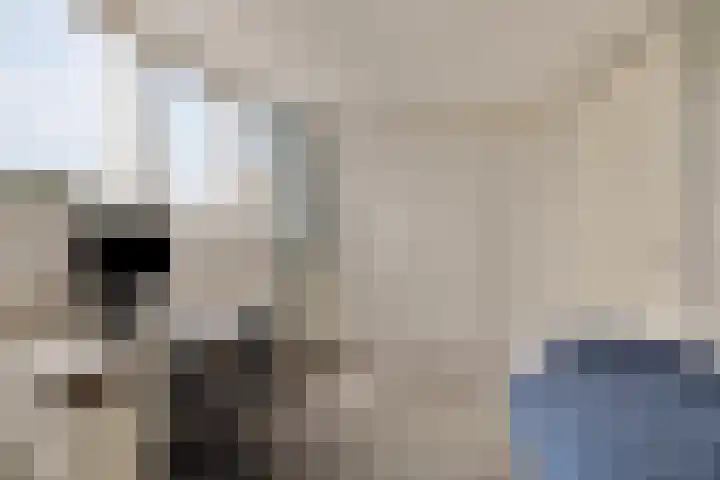 Klarinet 10 De Lier thumbnail 27