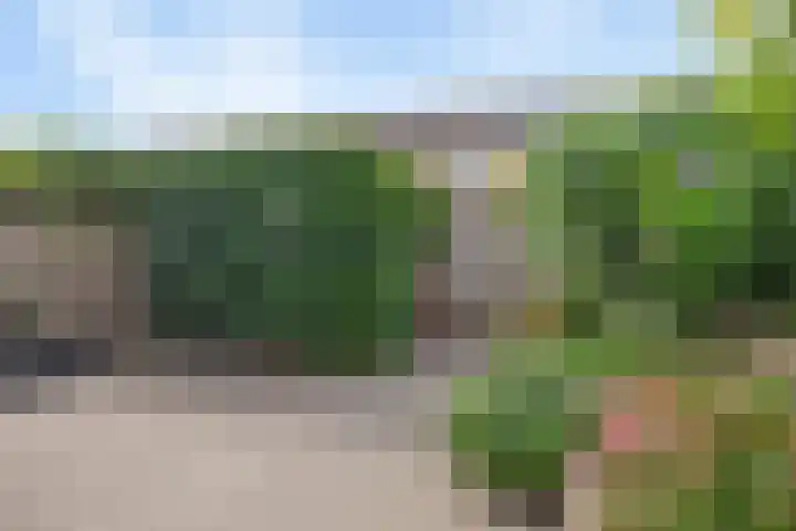 Klarinet 10 De Lier thumbnail 31
