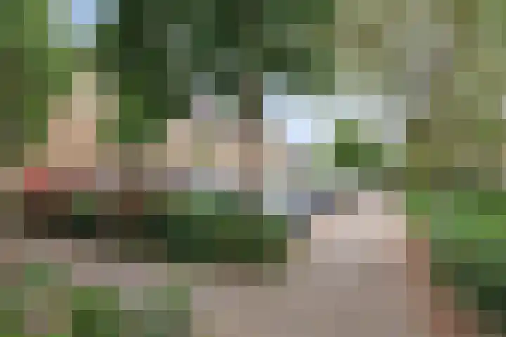 Klarinet 10 De Lier thumbnail 32